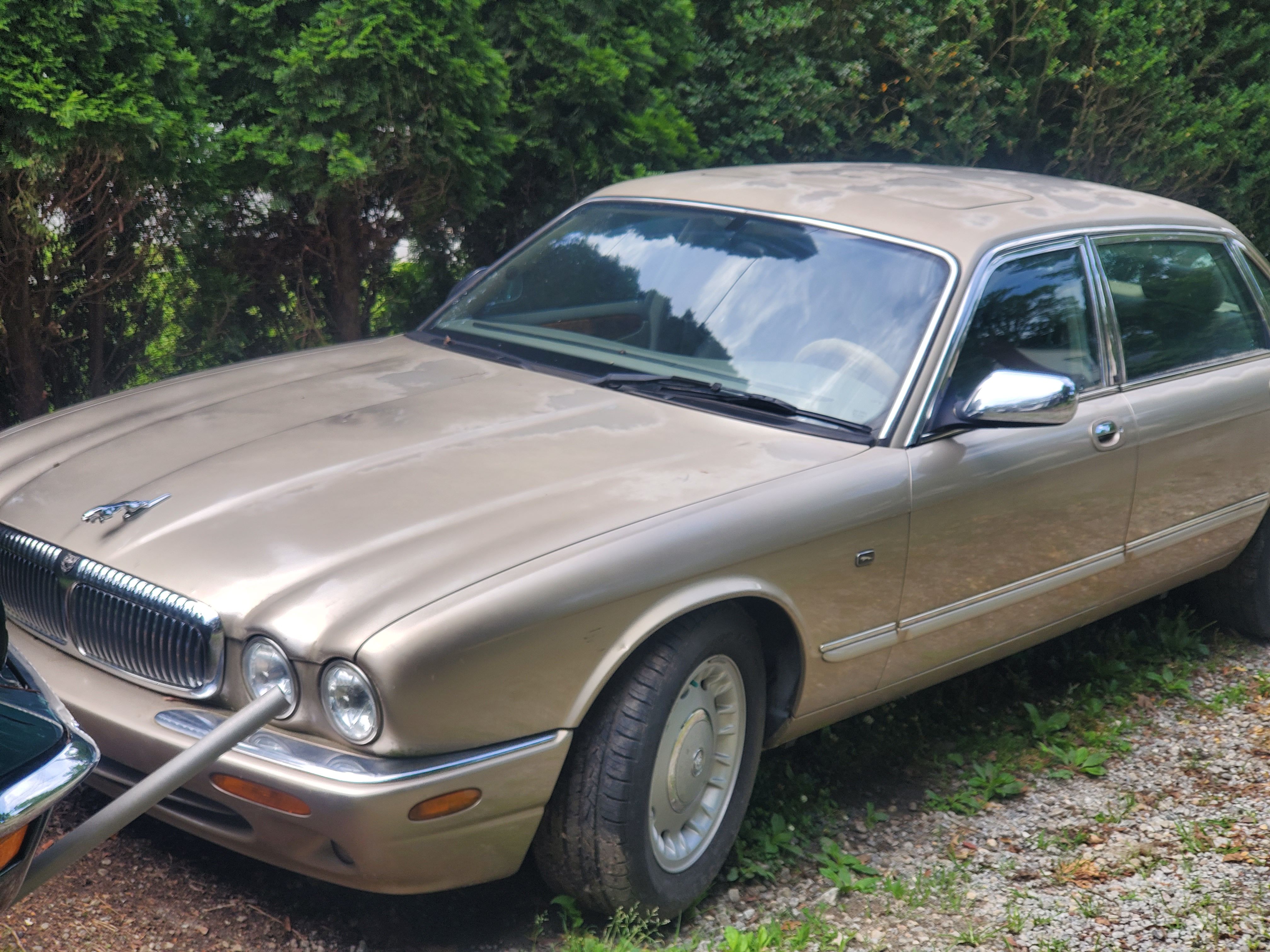 Used 1999 Jaguar XJ8 L RWD image 1