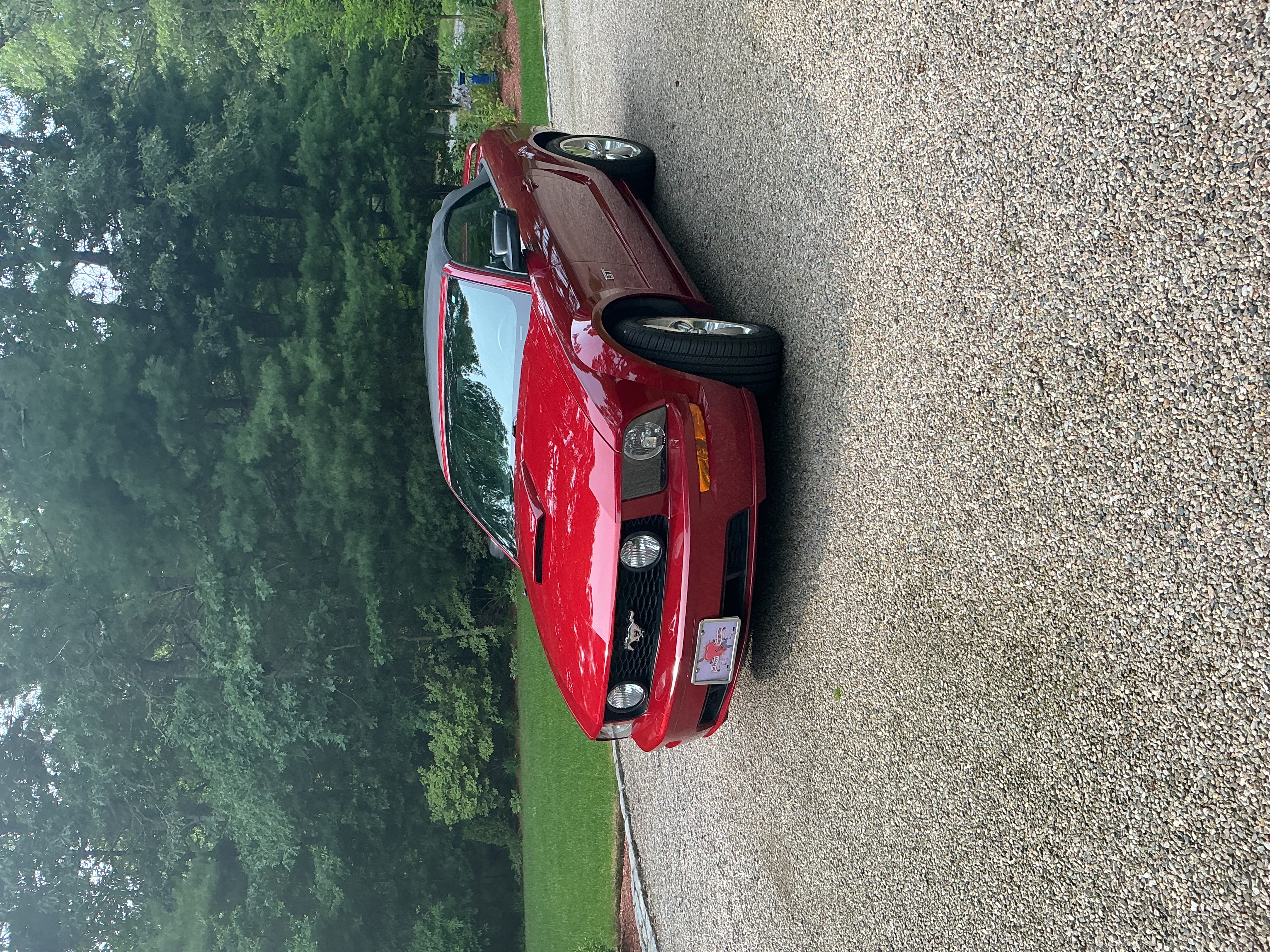 Used 2008 Ford Mustang GT Premium RWD image 1