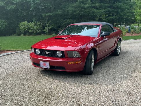Used 2008 Ford Mustang GT Premium RWD image 1