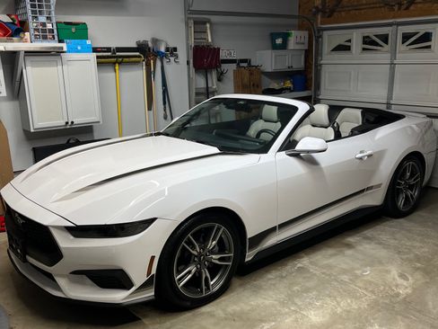 Used 2025 Ford Mustang Premium w/ Wheel & Stripe Package RWD image 1