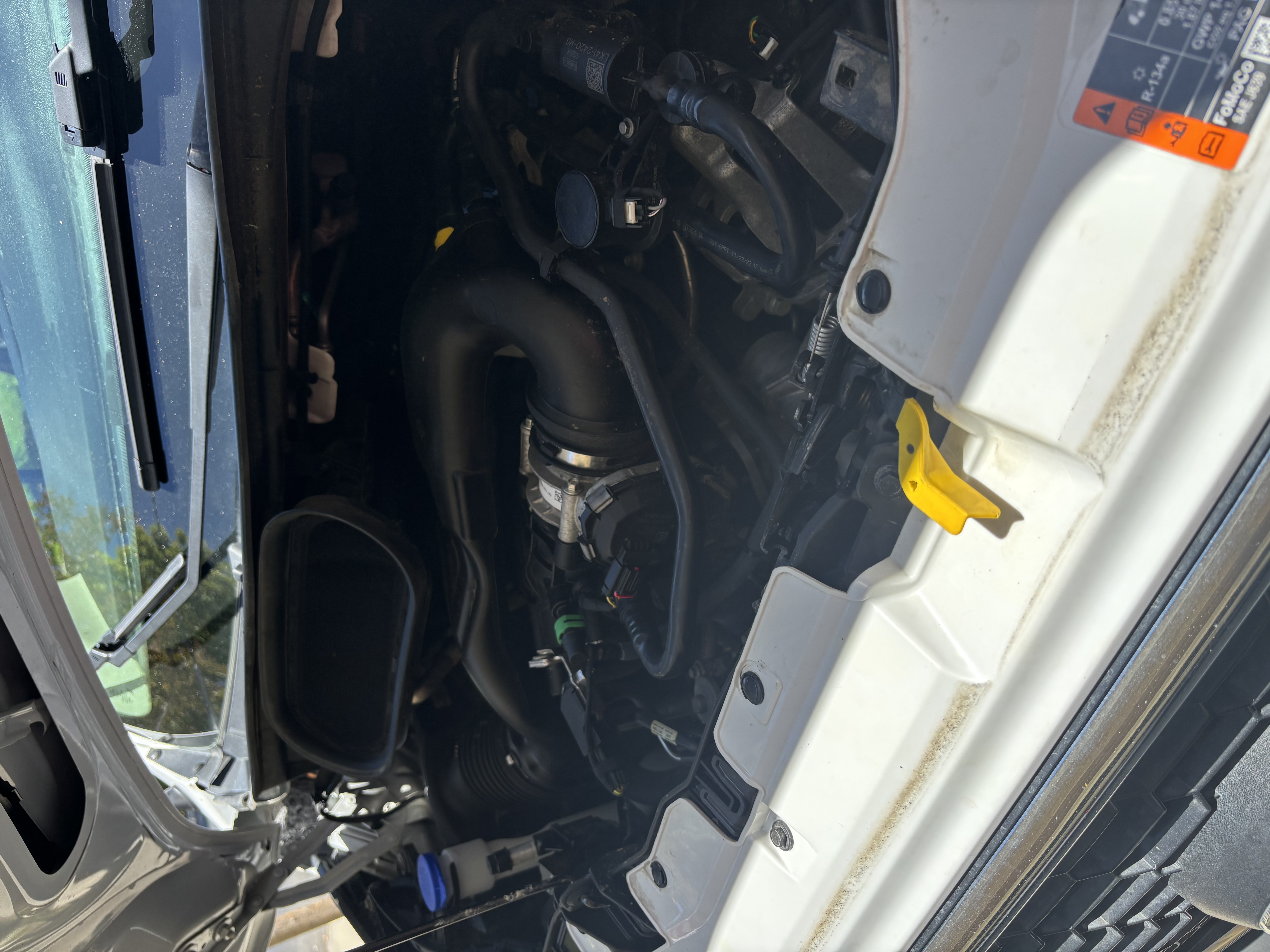 Used 2023 Ford Transit 250 Low Roof w/ Exterior Upgrade Package RWD image 20
