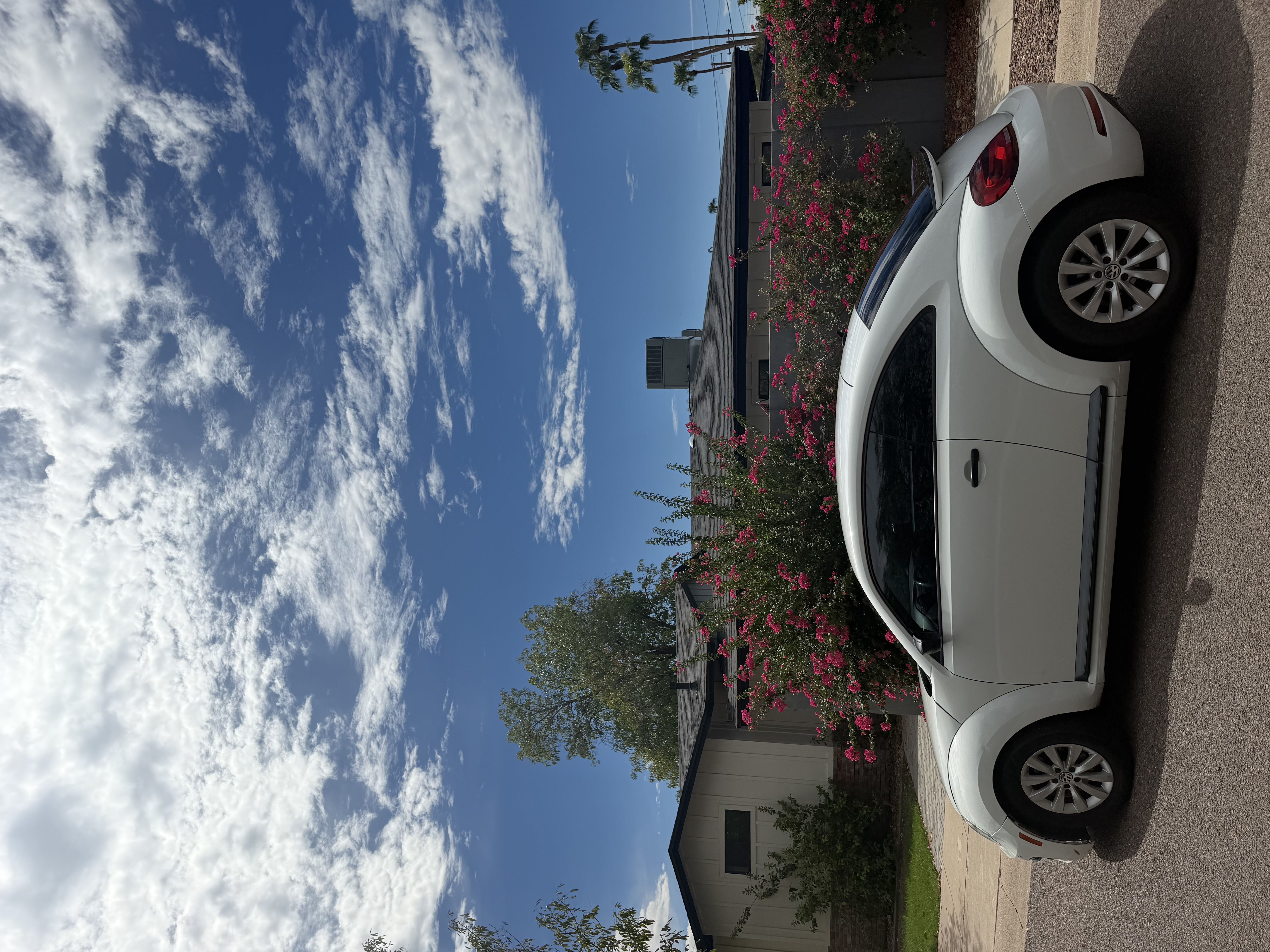 Used 2017 Volkswagen Beetle 1.8T S FWD image 4