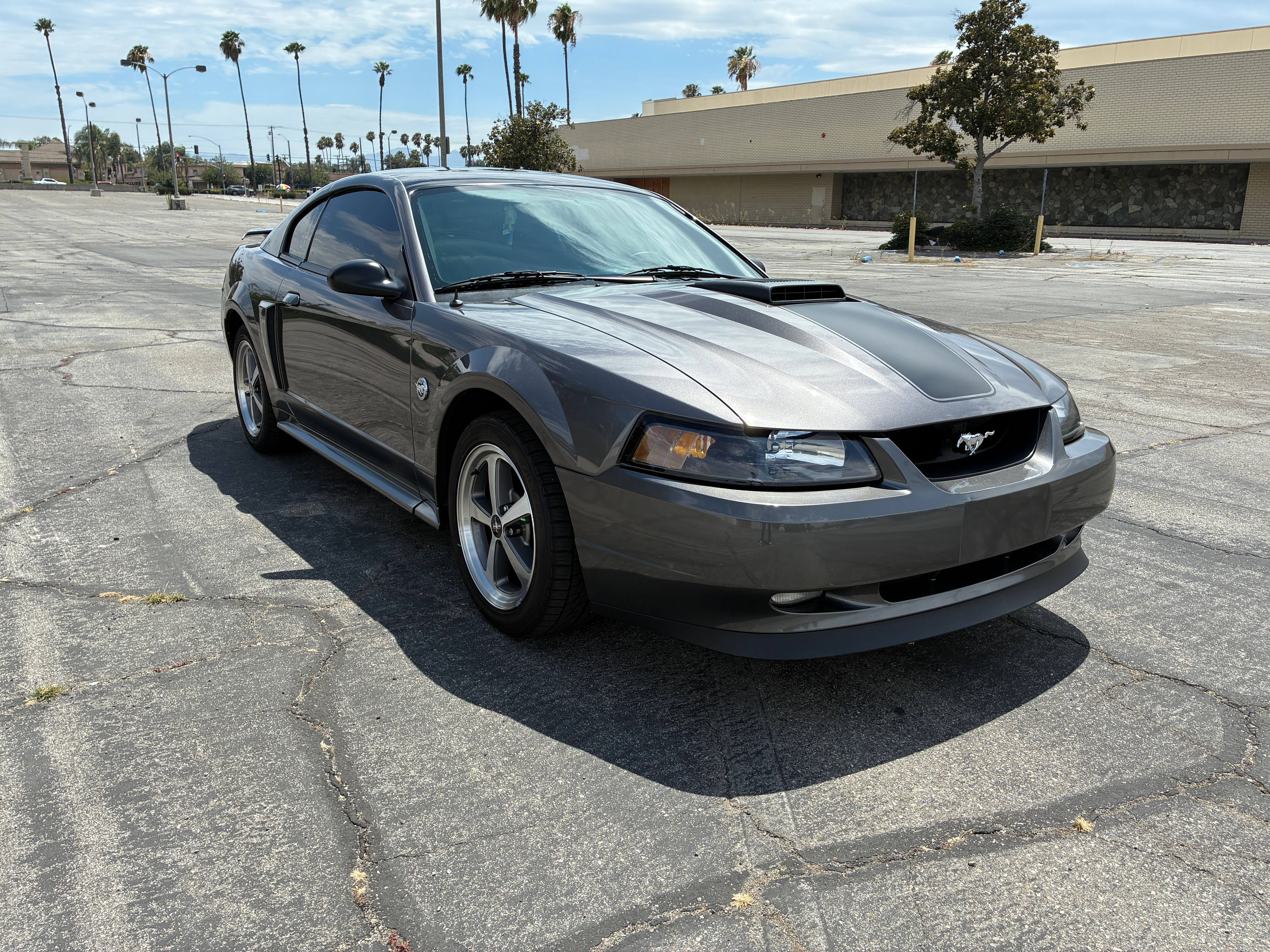 Used 2004 Ford Mustang Mach 1 RWD image 5