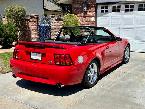 Used 1999 Ford Mustang Cobra RWD image 12