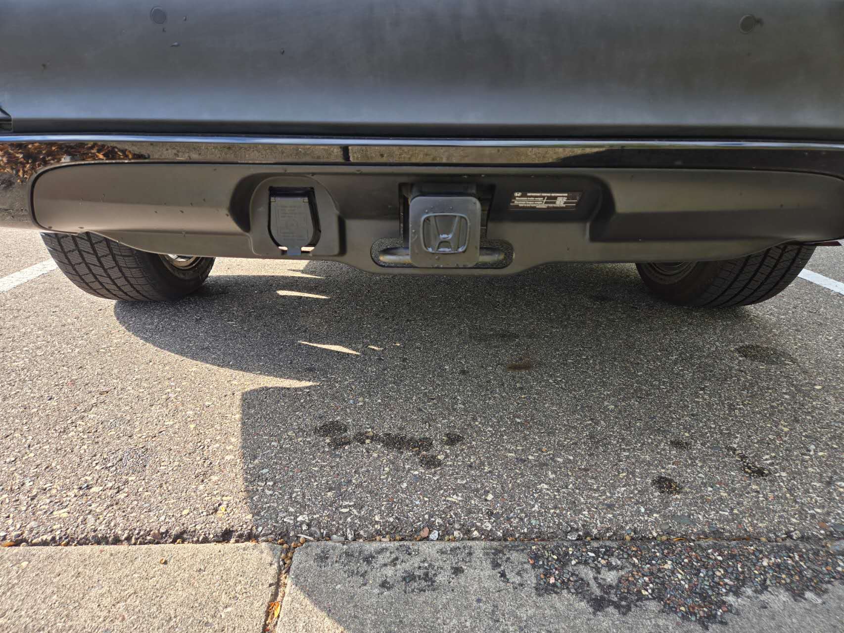 Used 2021 Honda Pilot Black Edition image 21