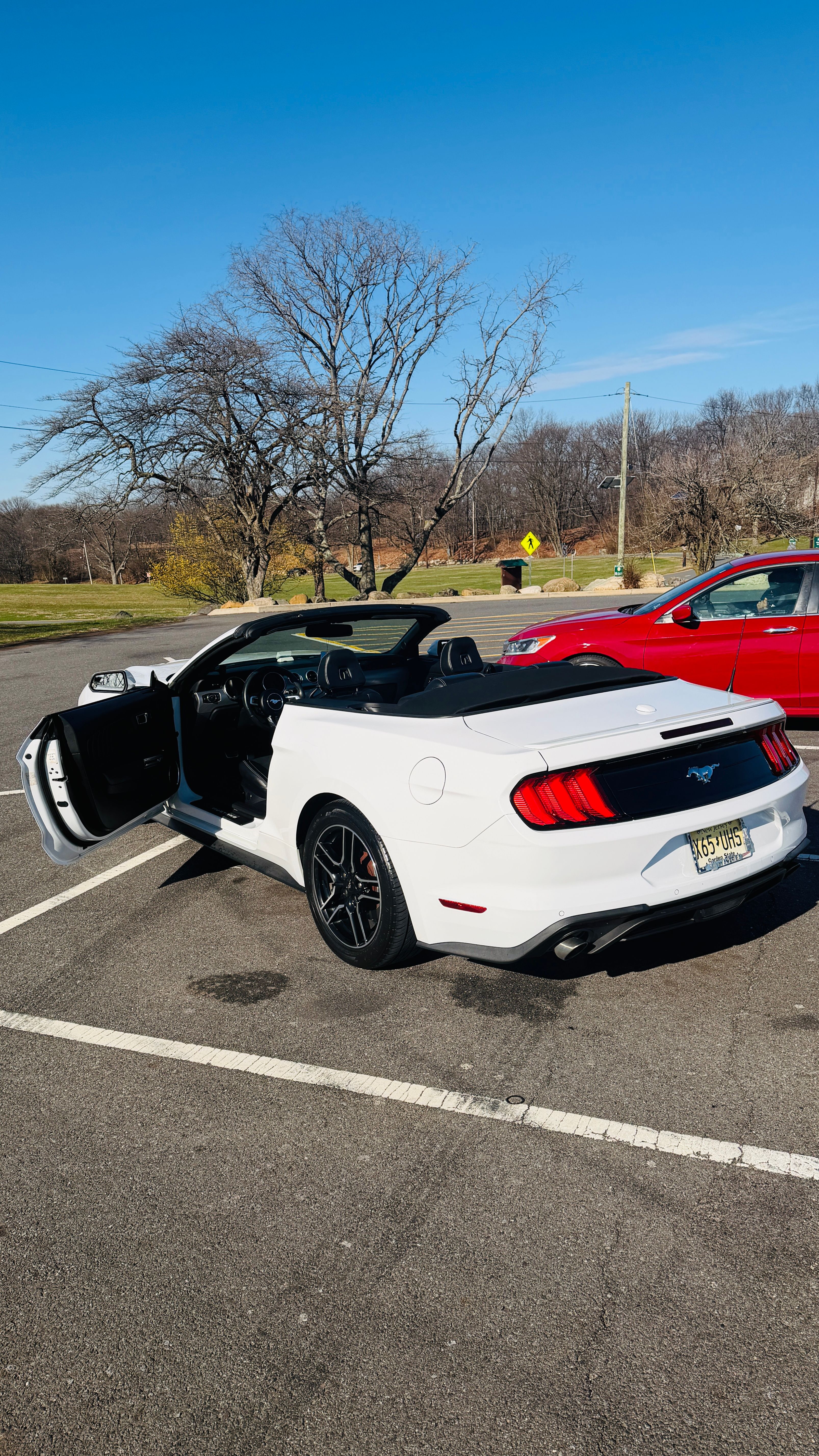 Used 2019 Ford Mustang Premium RWD image 4