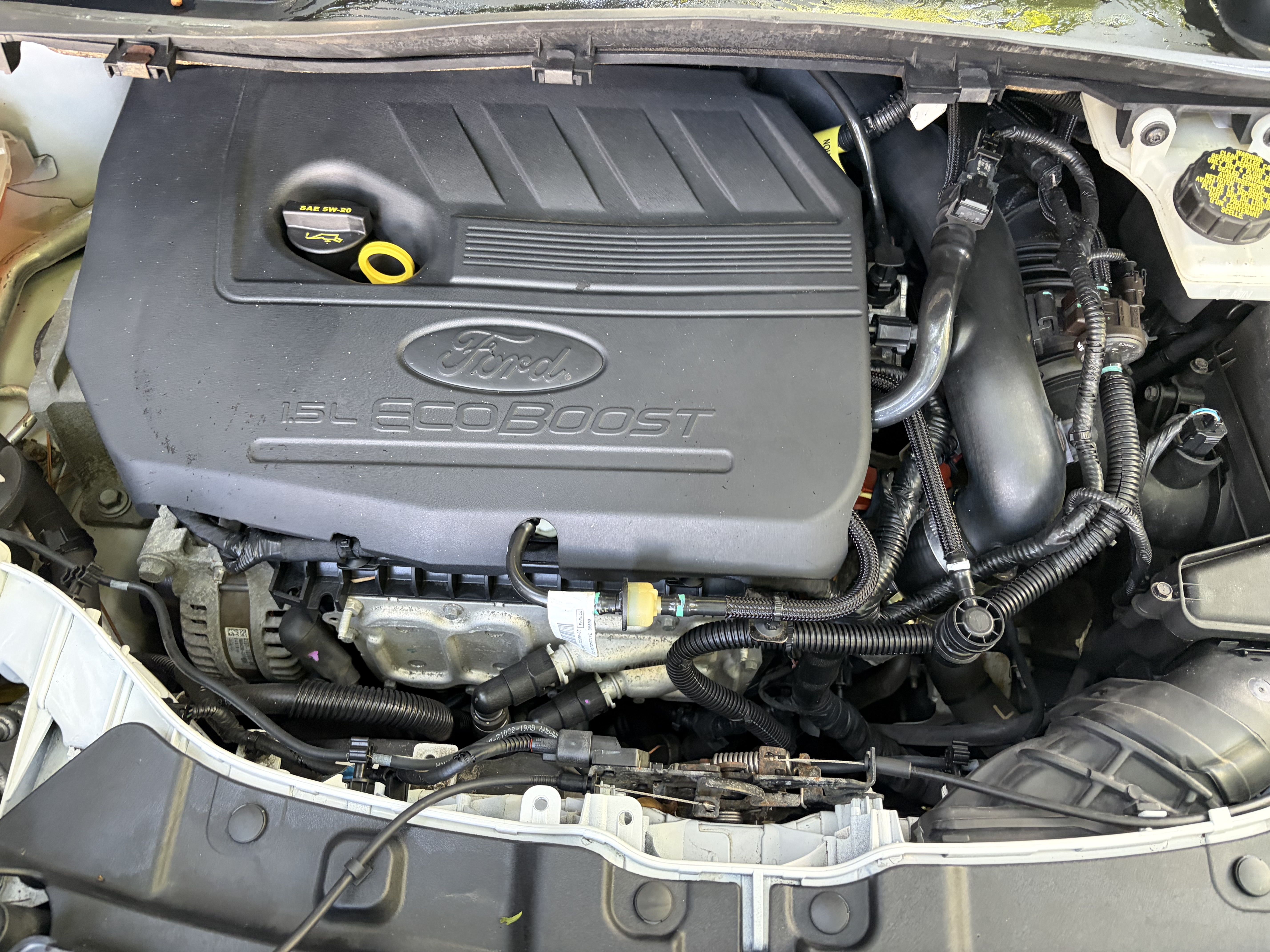 Used 2018 Ford Escape SE AWD/4WD image 23