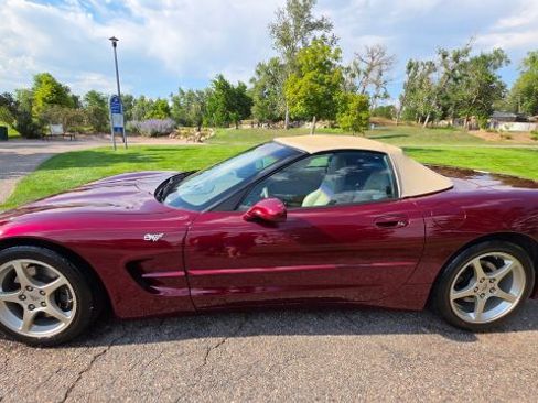 Used 2003 Chevrolet Corvette Convertible w/ Preferred Equipment Group1 image 4