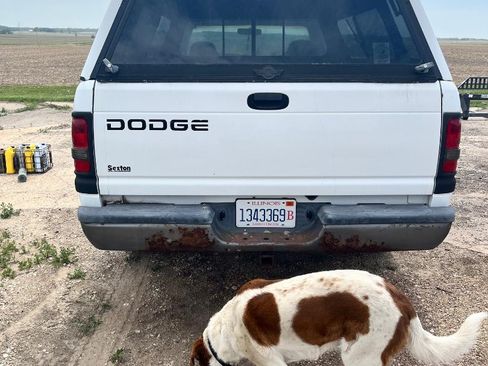 Used 2001 Dodge Ram 1500 Truck 2WD Regular Cab image 5