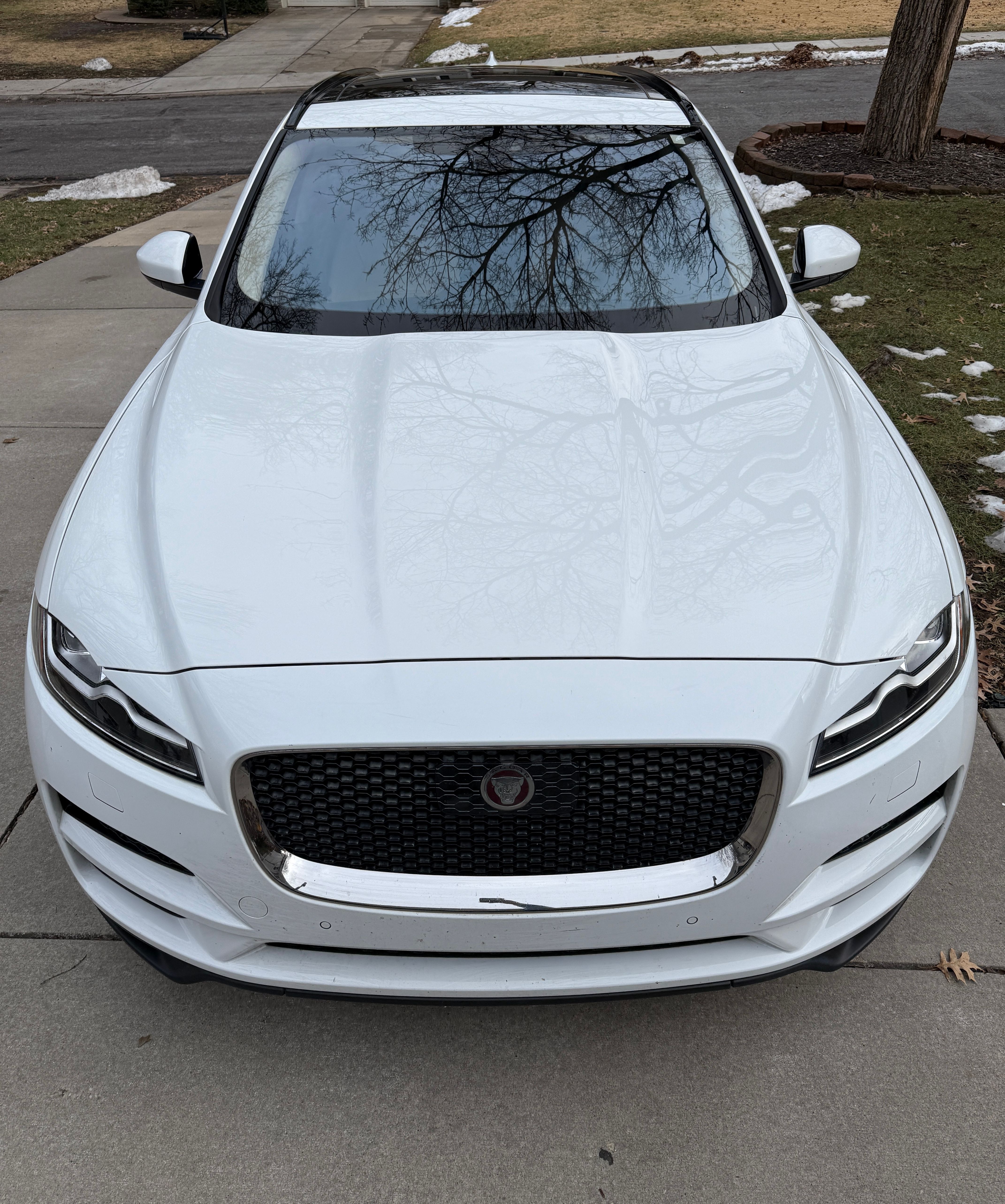 Used 2019 Jaguar F-PACE Prestige AWD/4WD image 8
