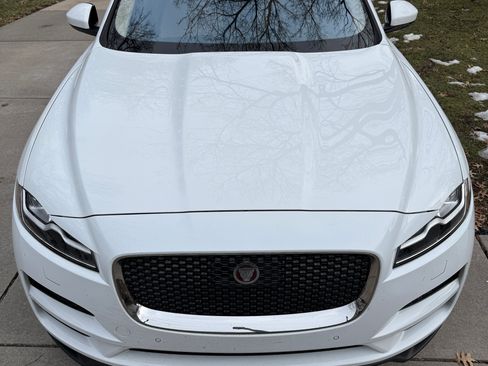 Used 2019 Jaguar F-PACE Prestige image 8