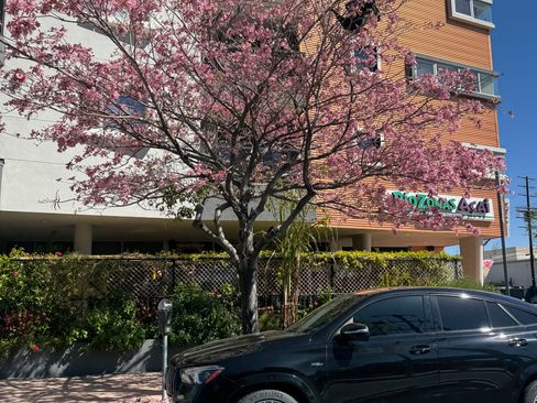 Used 2021 Mercedes-Benz GLE 53 AMG 4MATIC Coupe image 14