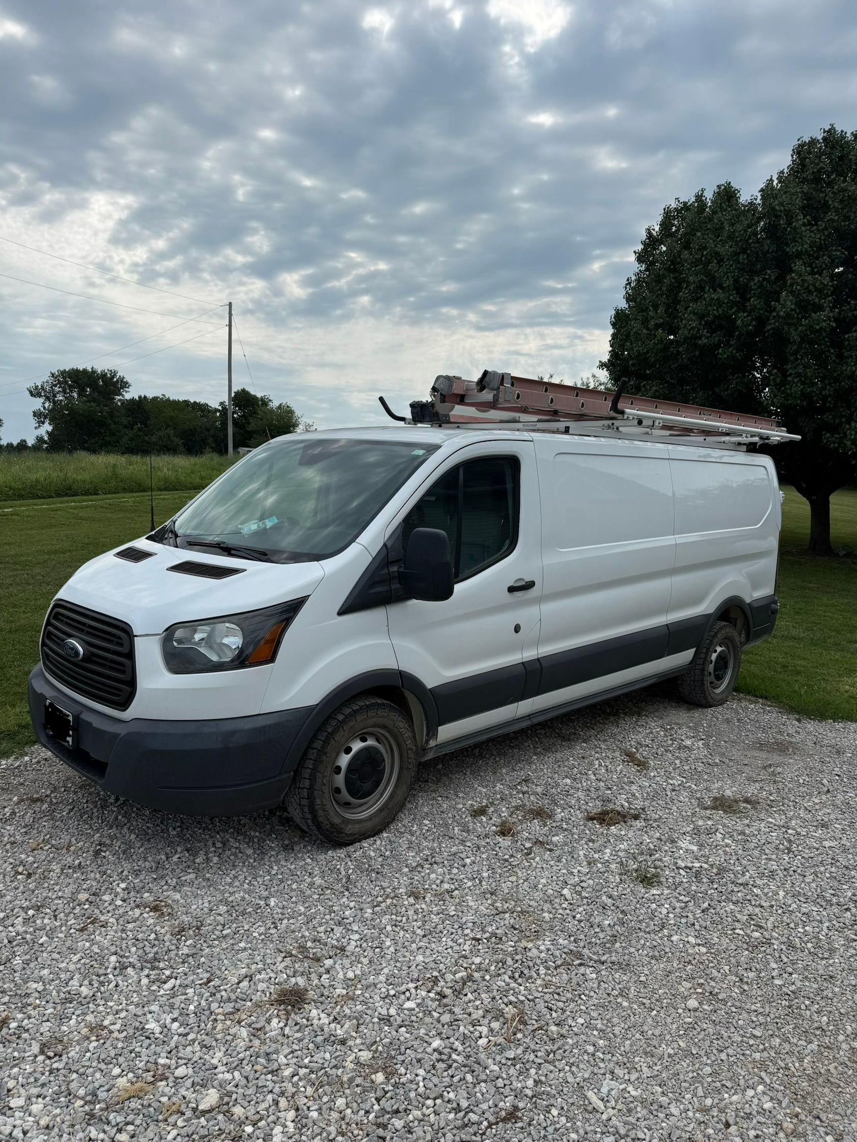 Used 2017 Ford Transit 250 148 Low Roof RWD image 1