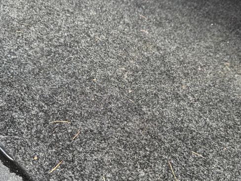 Used 2010 Dodge Ram 1500 Truck TRX image 12