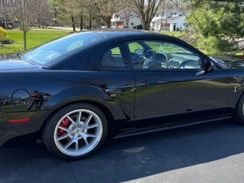 Used 1999 Ford Mustang Cobra image 5