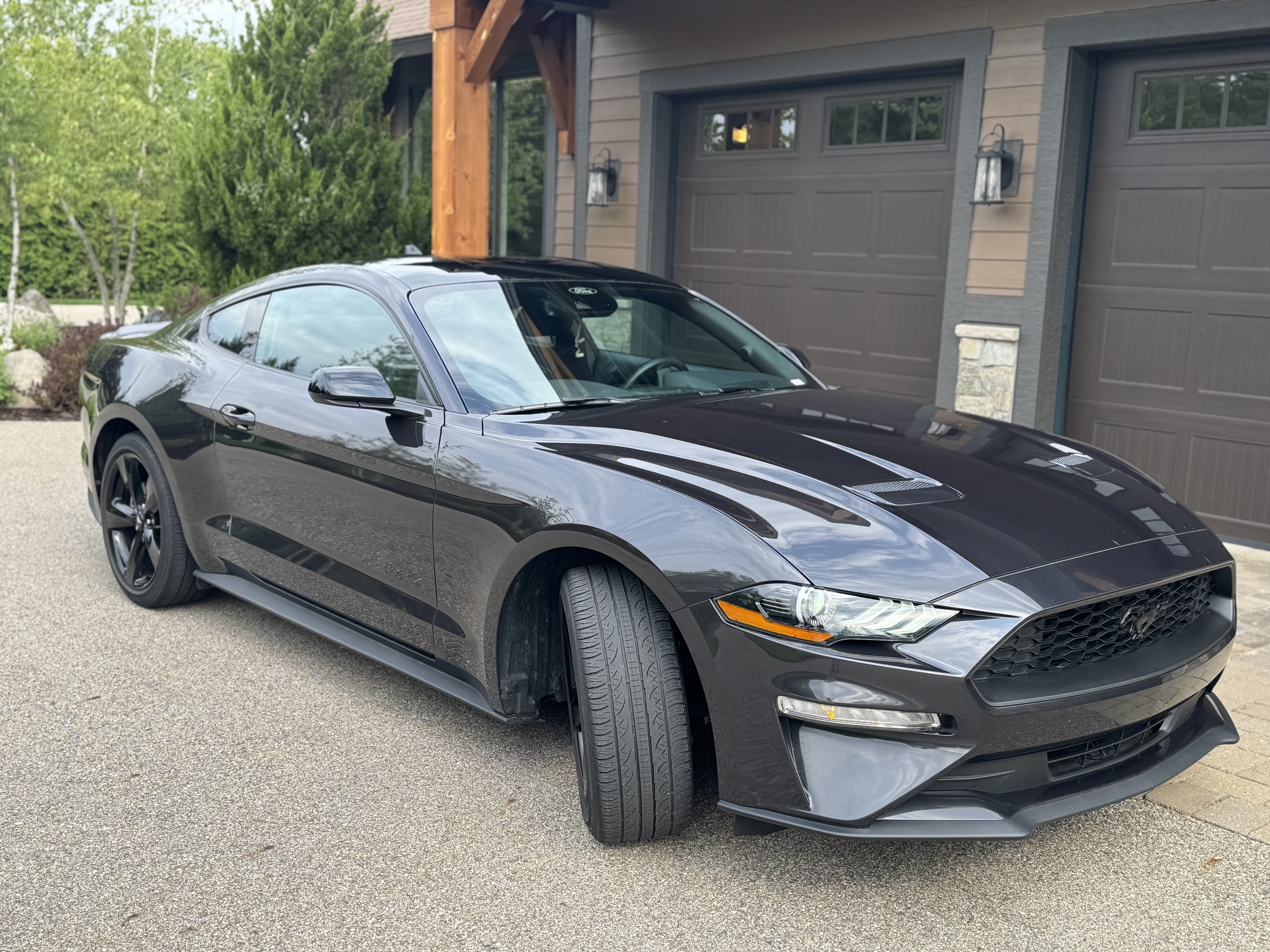 Used 2023 Ford Mustang Coupe w/ Equipment Group 101A RWD image 1