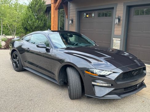 Used 2023 Ford Mustang Coupe w/ Equipment Group 101A RWD image 1