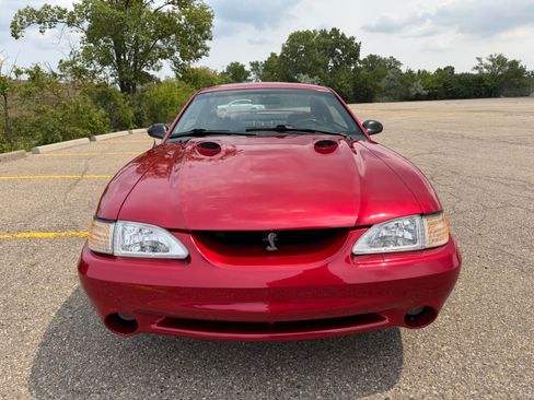 Used 1998 Ford Mustang Cobra RWD image 12