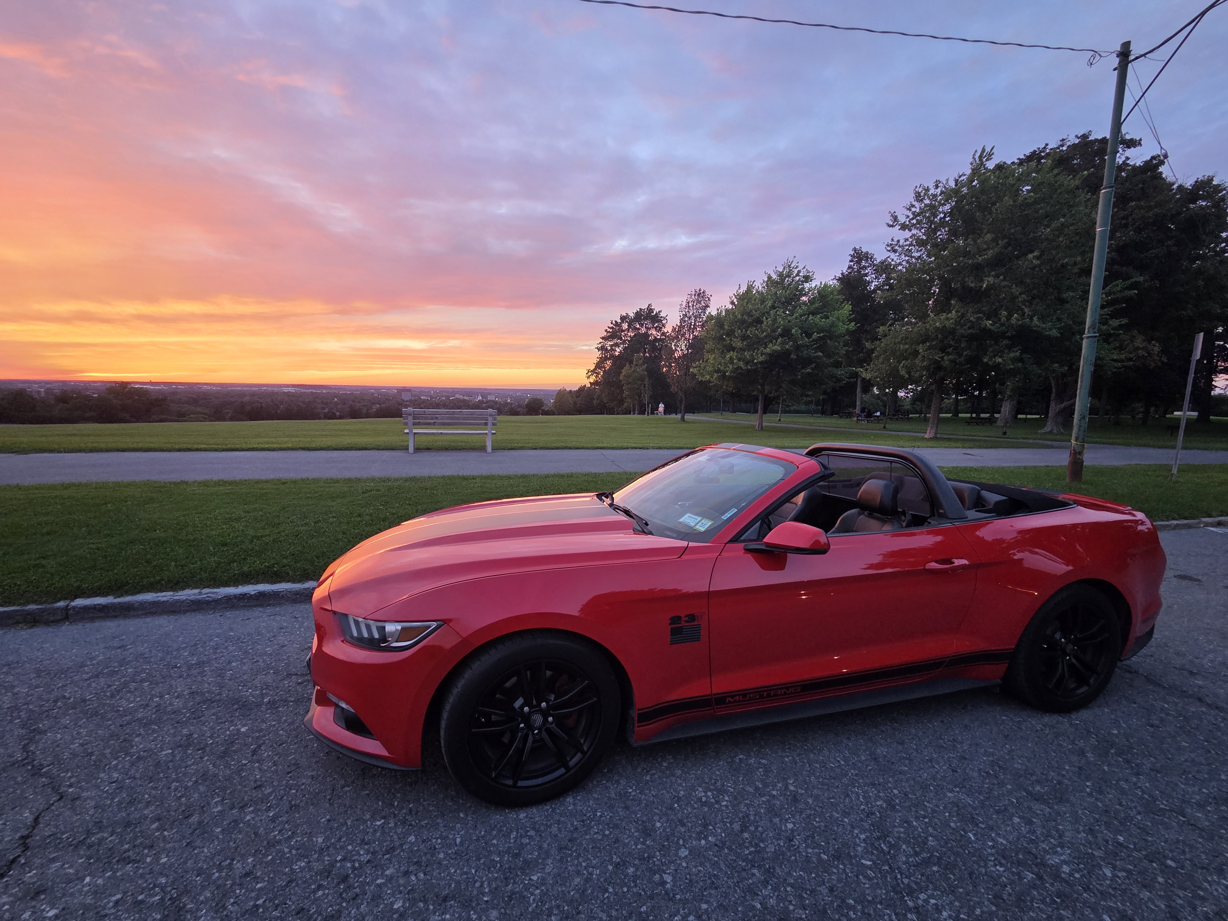 Used 2015 Ford Mustang Premium RWD image 6