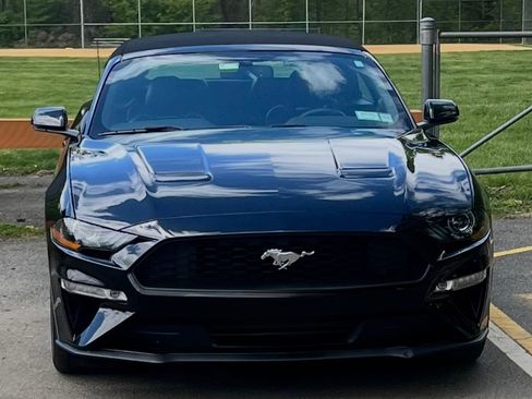 Used 2020 Ford Mustang Premium w/ Equipment Group 201A RWD image 13