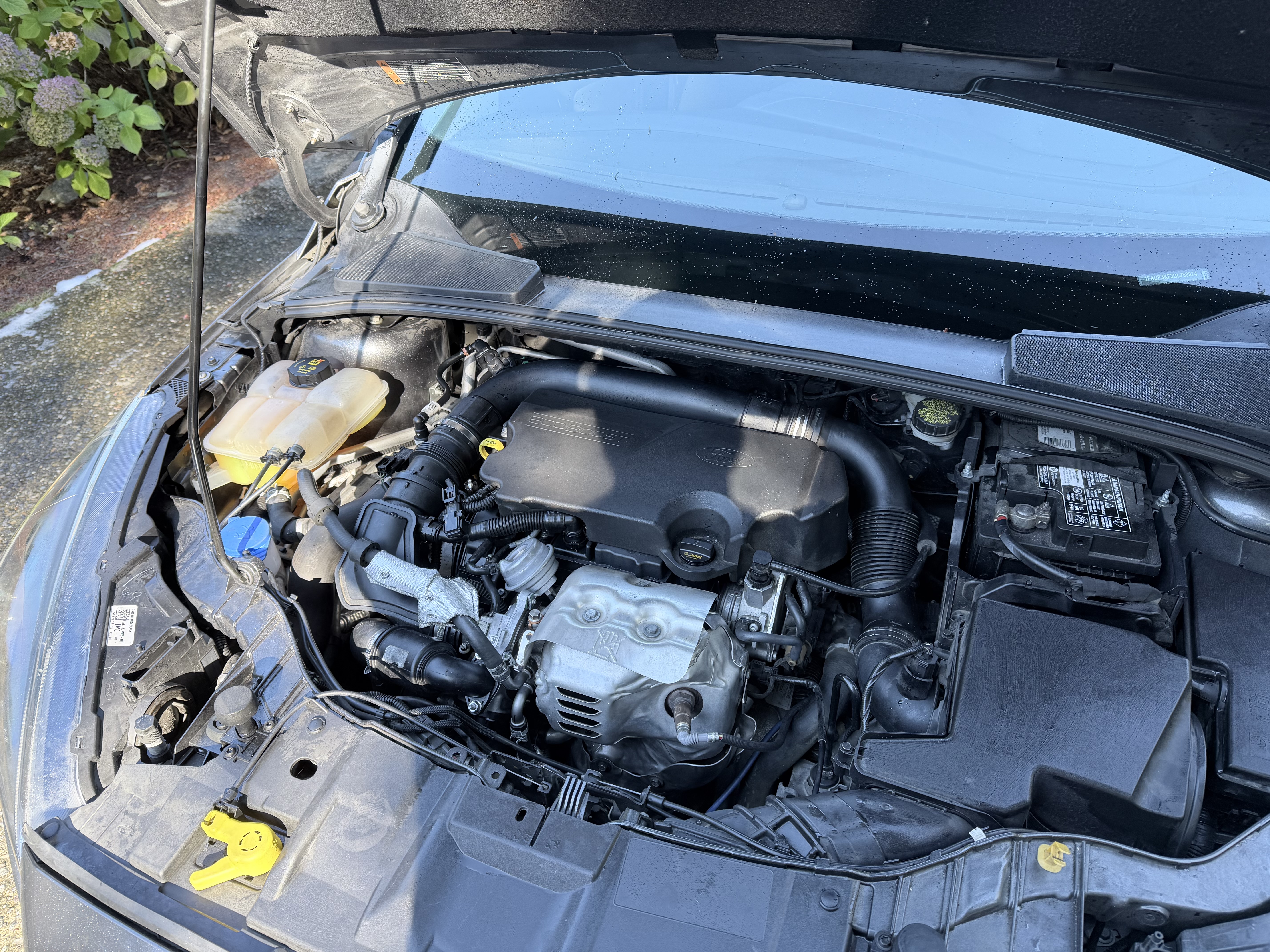 Used 2016 Ford Focus SE FWD image 4