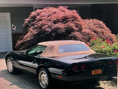 Used 1994 Chevrolet Corvette Convertible