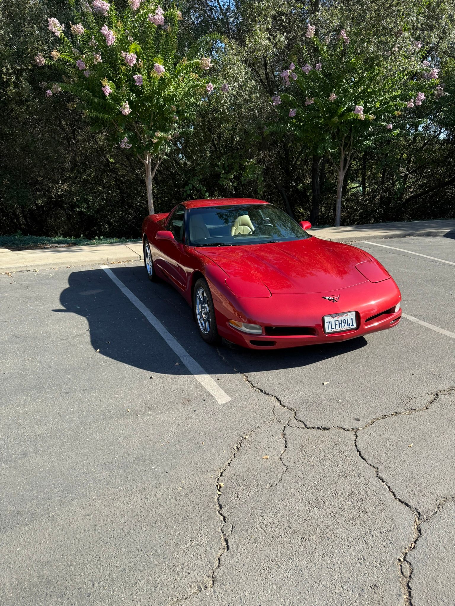 Used 1998 Chevrolet Corvette Coupe RWD image 9