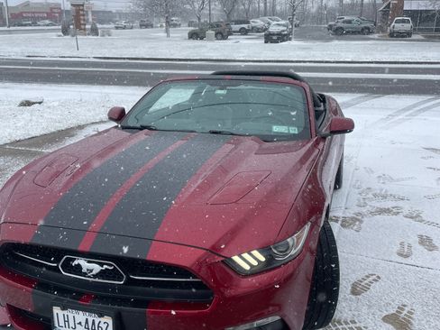 Used 2015 Ford Mustang GT Premium w/ Equipment Group 401A image 8