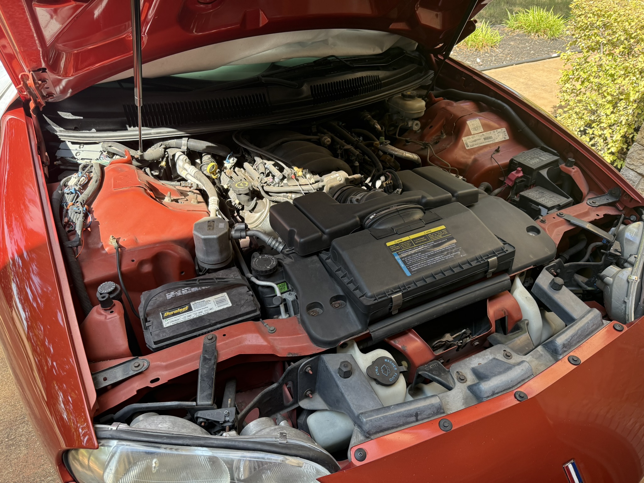 Used 2002 Chevrolet Camaro Z28 w/ SS Performance/Appearance Pkg RWD image 4