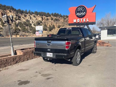 Used 2009 Ford F150 Platinum image 1