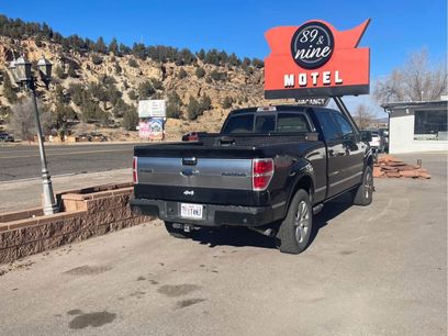 Used 2009 Ford F150 Platinum