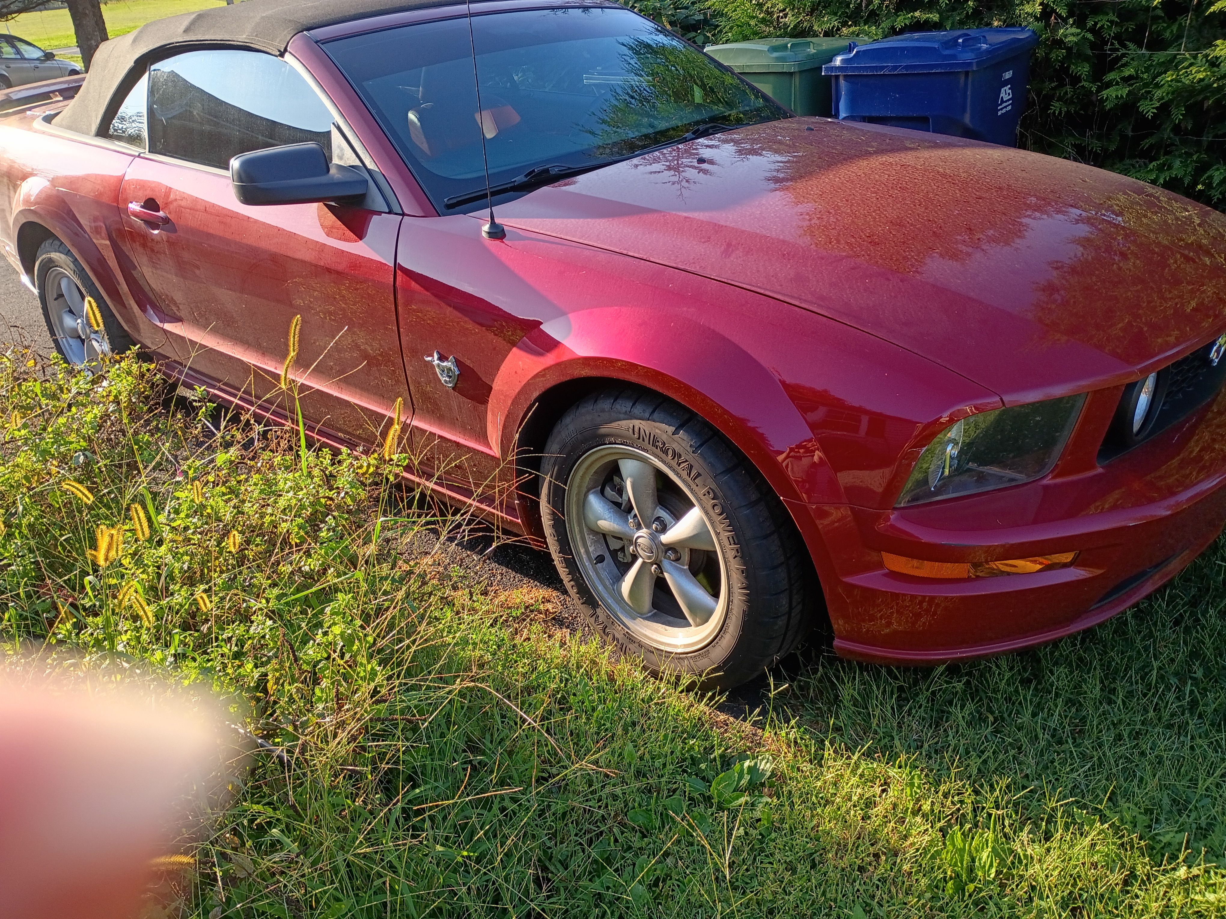 Used 2009 Ford Mustang GT Premium RWD image 2