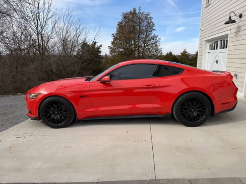 Used 2015 Ford Mustang GT Premium w/ 50 Years Appearance Package image 1