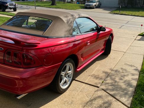 Used 1998 Ford Mustang Cobra image 4