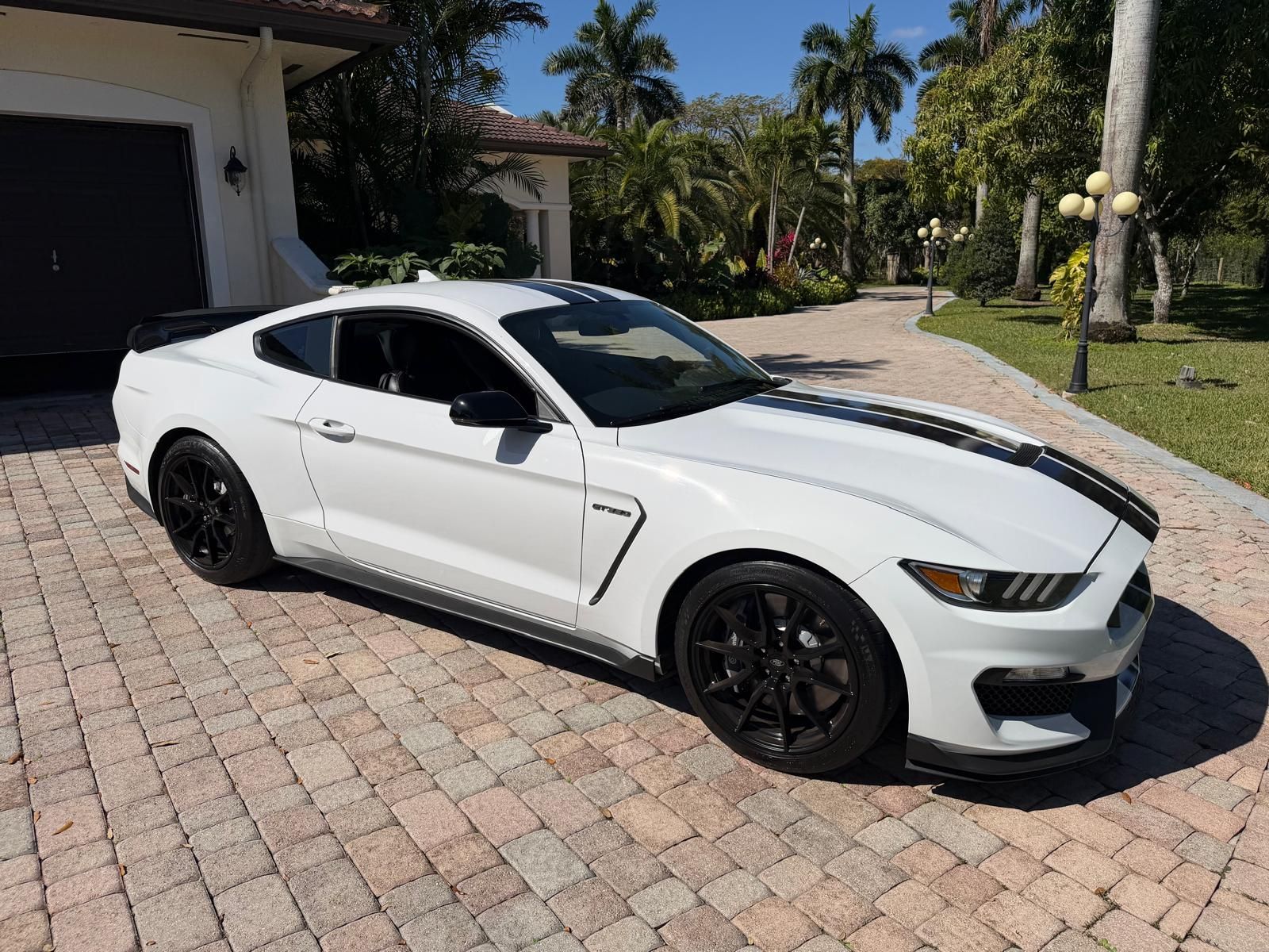 Used 2020 Ford Mustang Shelby GT350 w/ Technology Package RWD image 1