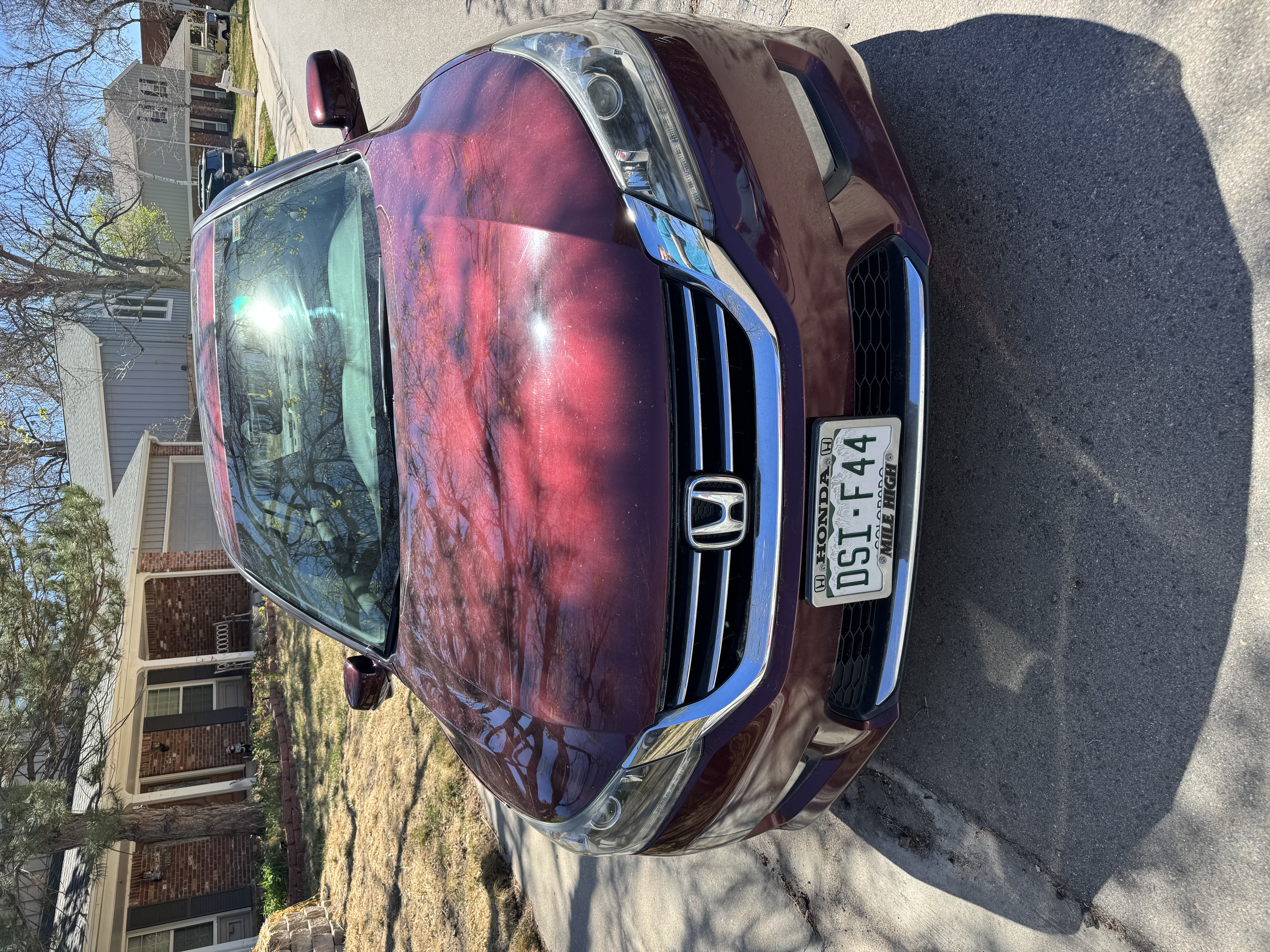 Used 2014 Honda Accord EX-L image 5