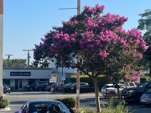 Used 2024 Porsche 911 Carrera 4 GTS image 2