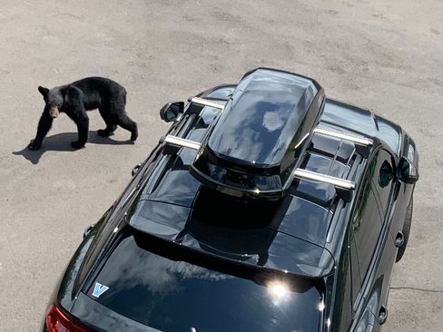 Used 2022 Audi RS Q8 image 13