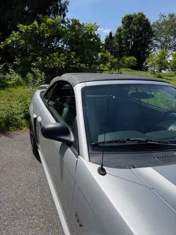 Used 2001 Ford Mustang GT Premium RWD image 4