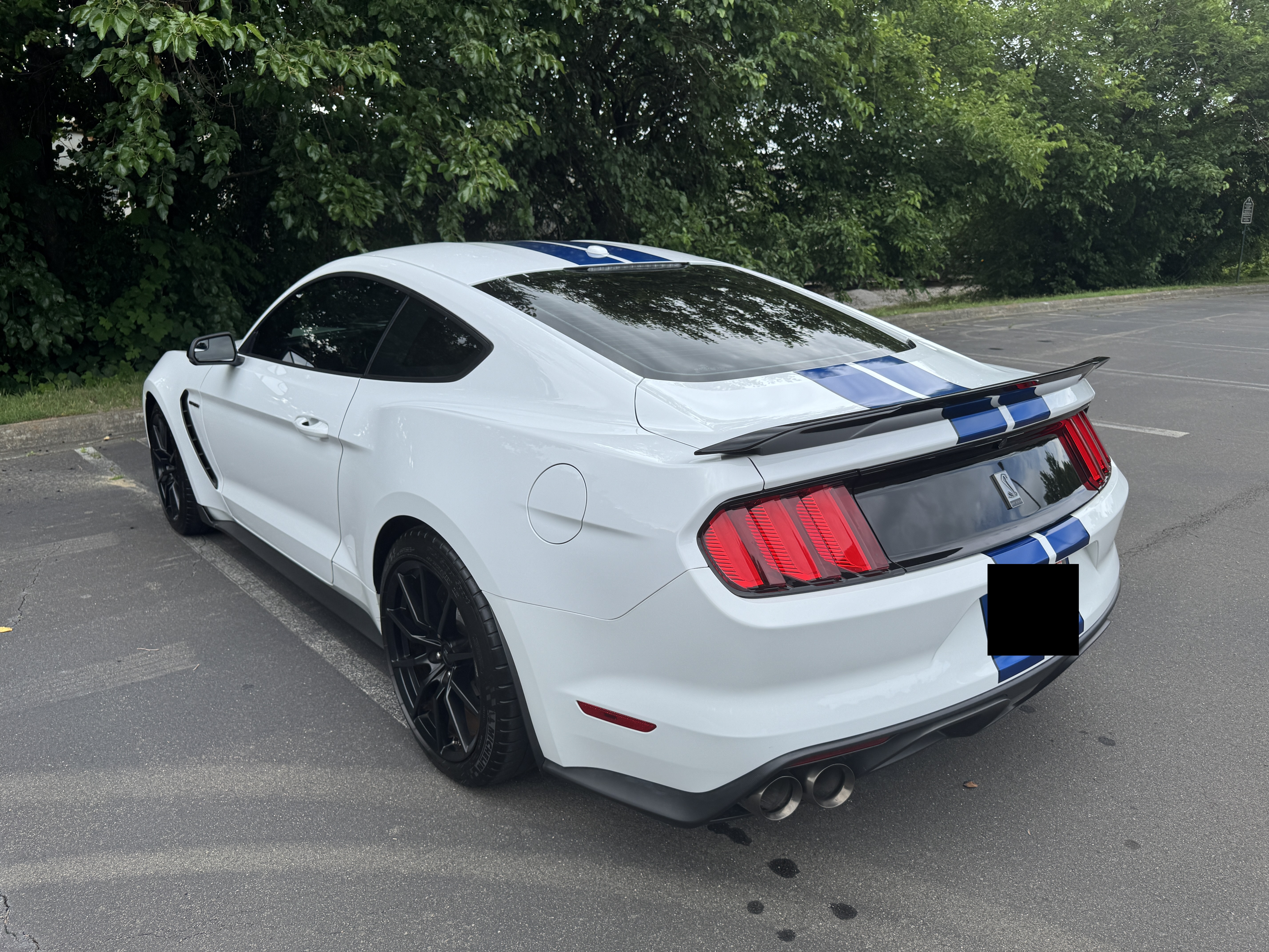 Used 2018 Ford Mustang Shelby GT350 w/ Electronics Package RWD image 13