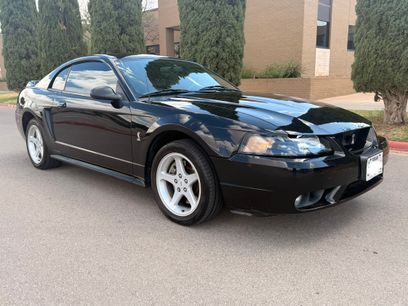 Used 1999 Ford Mustang Cobra