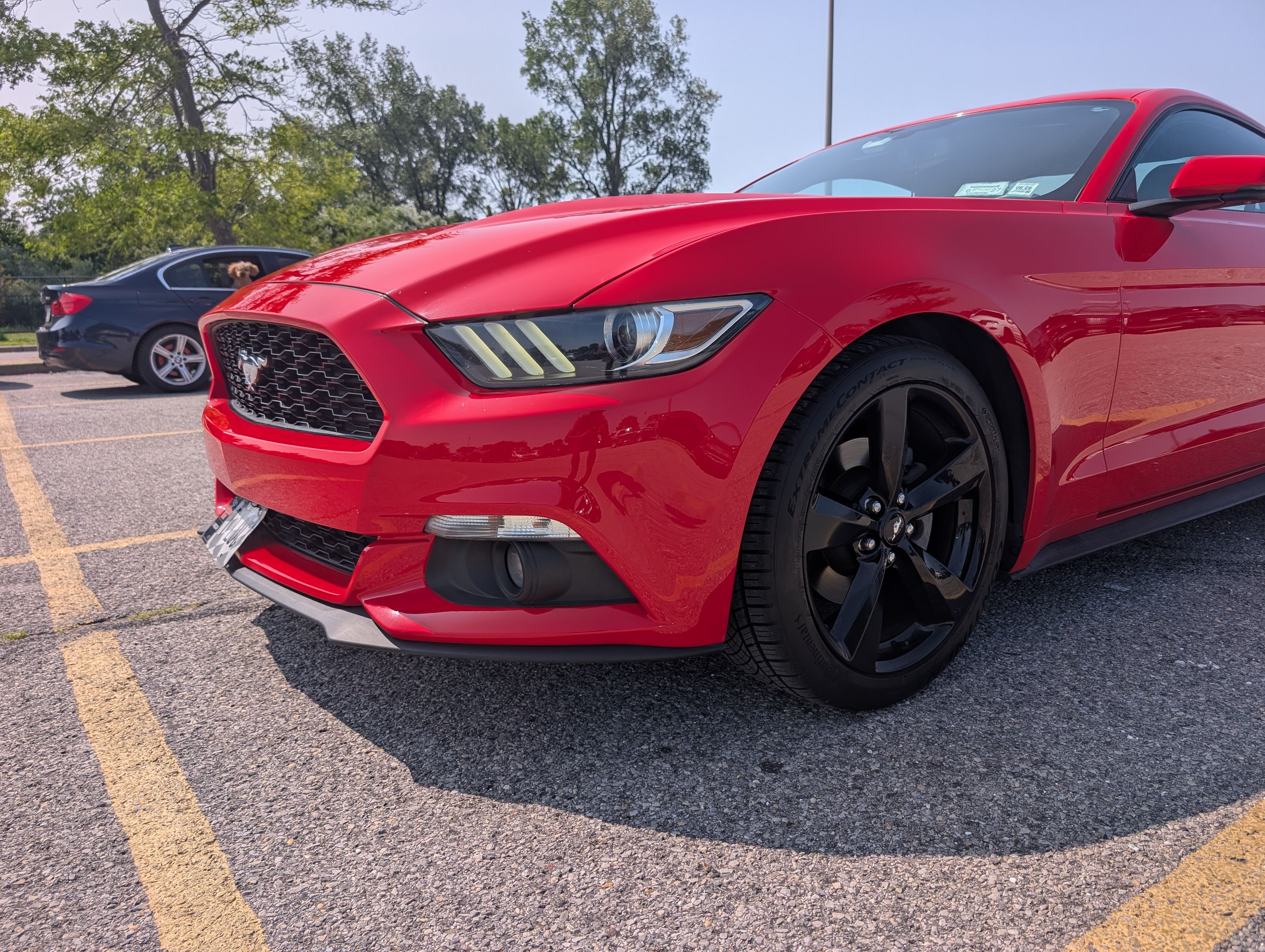Used 2017 Ford Mustang Premium RWD image 11