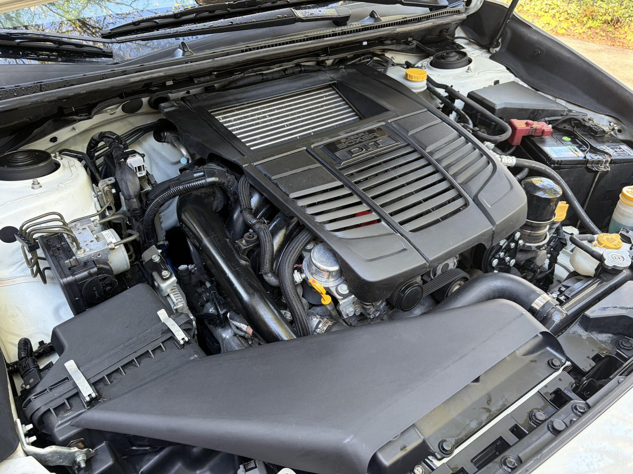 Used 2017 Subaru WRX AWD/4WD image 12