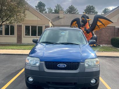 Used 2007 Ford Escape XLT
