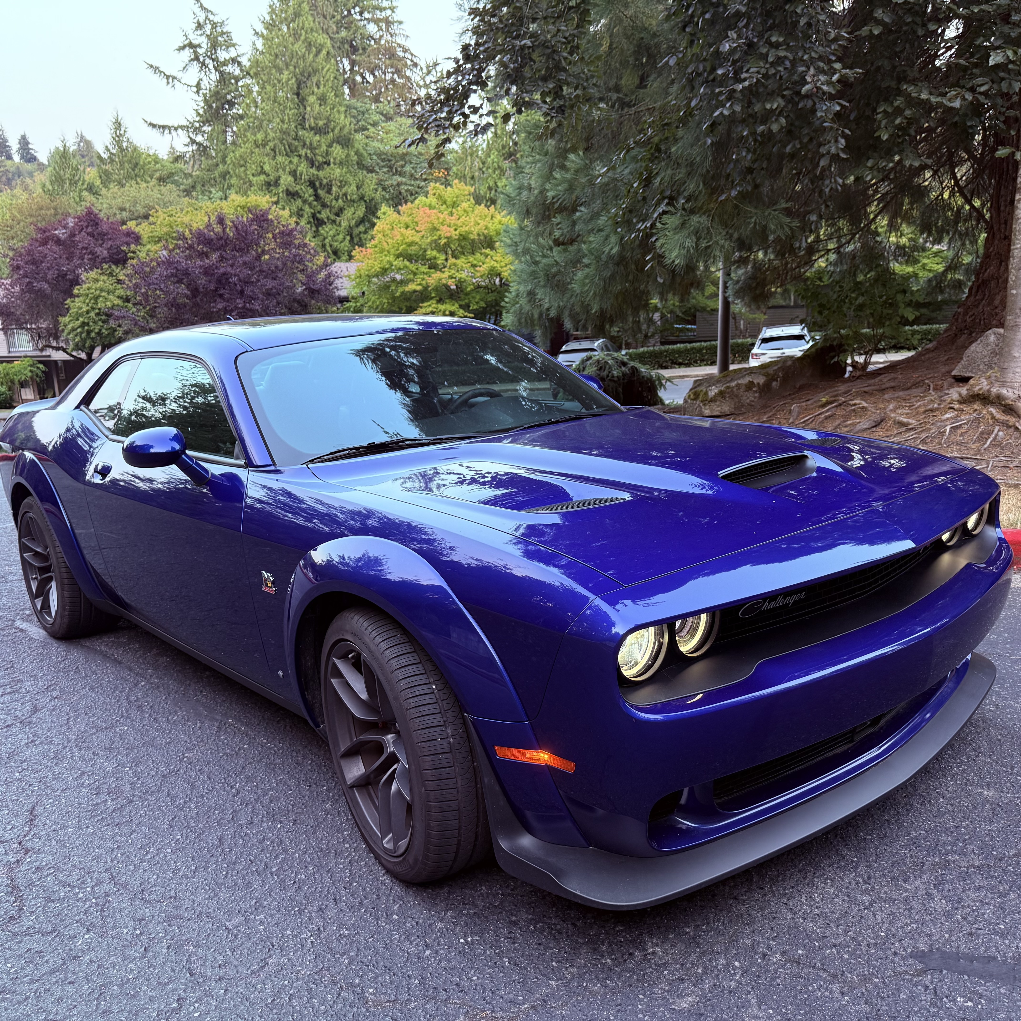 Used 2019 Dodge Challenger R/T Scat Pack RWD image 4