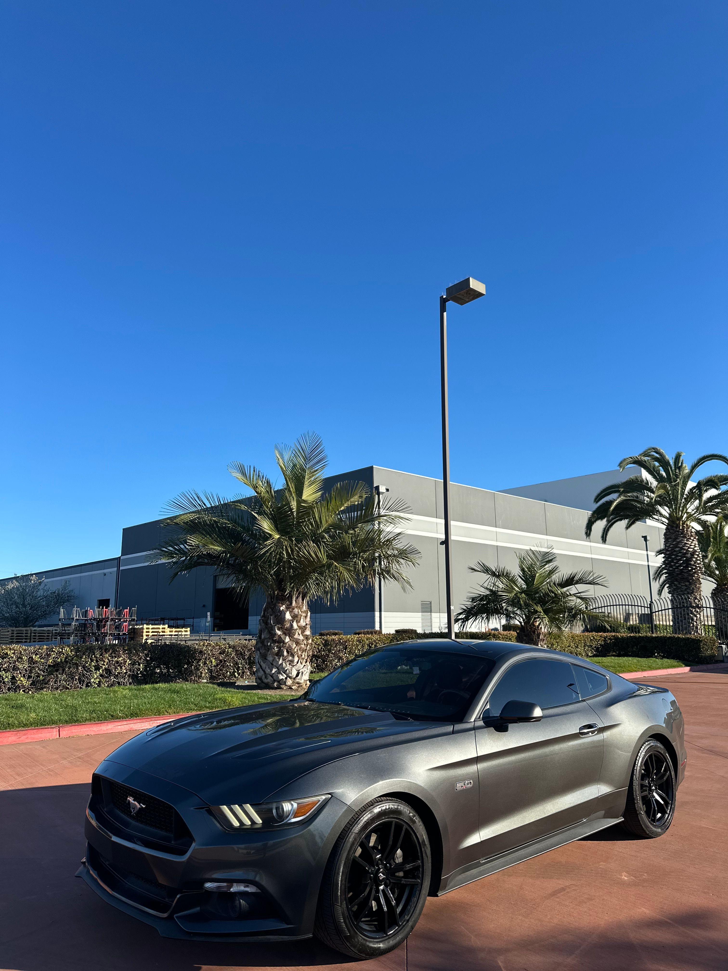 Used 2015 Ford Mustang GT RWD image 13