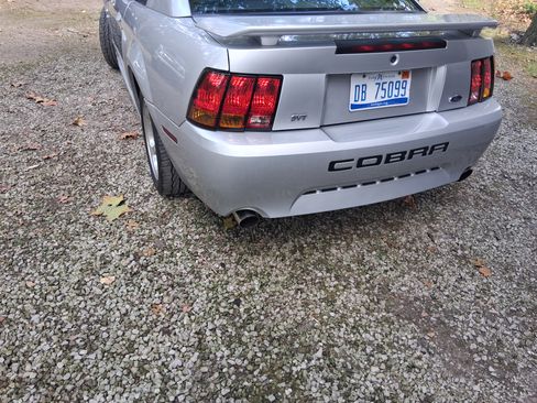Used 2001 Ford Mustang Cobra image 10