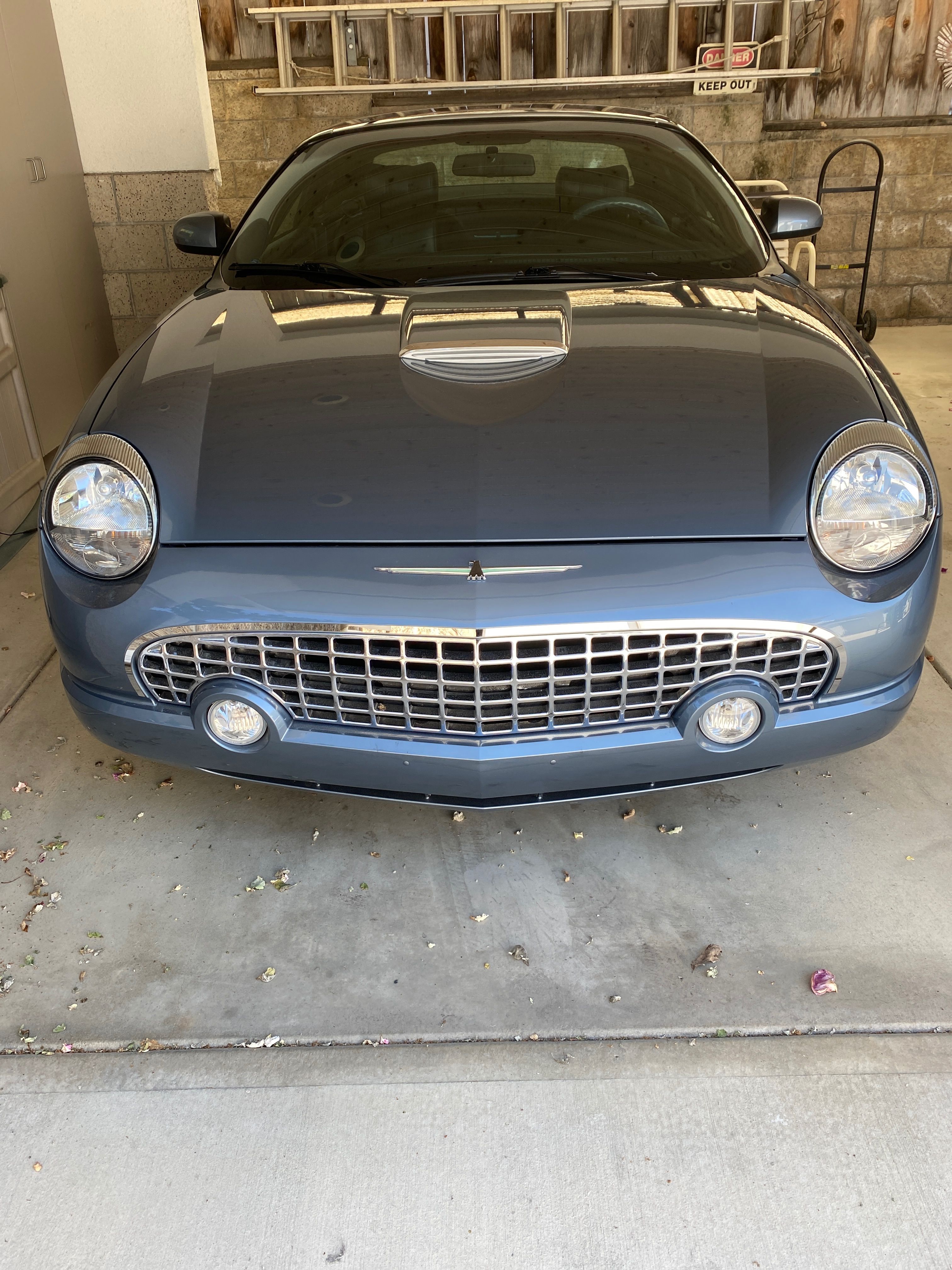Used 2005 Ford Thunderbird Deluxe RWD image 6