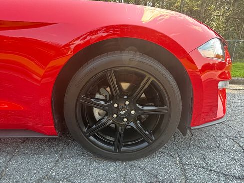 Used 2019 Ford Mustang Premium w/ Equipment Group 201A RWD image 11