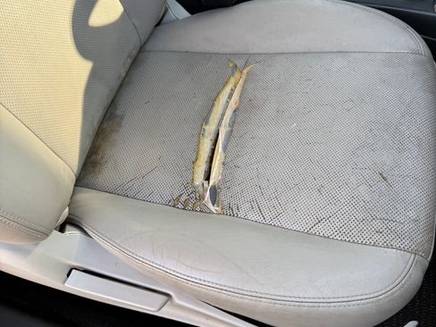 Used 2014 Subaru Forester 2.5i Limited w/ Rugged Package #2 image 12